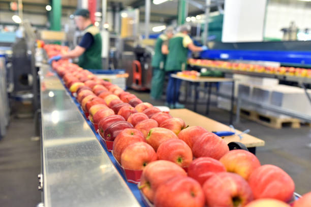 Fruit production line‏